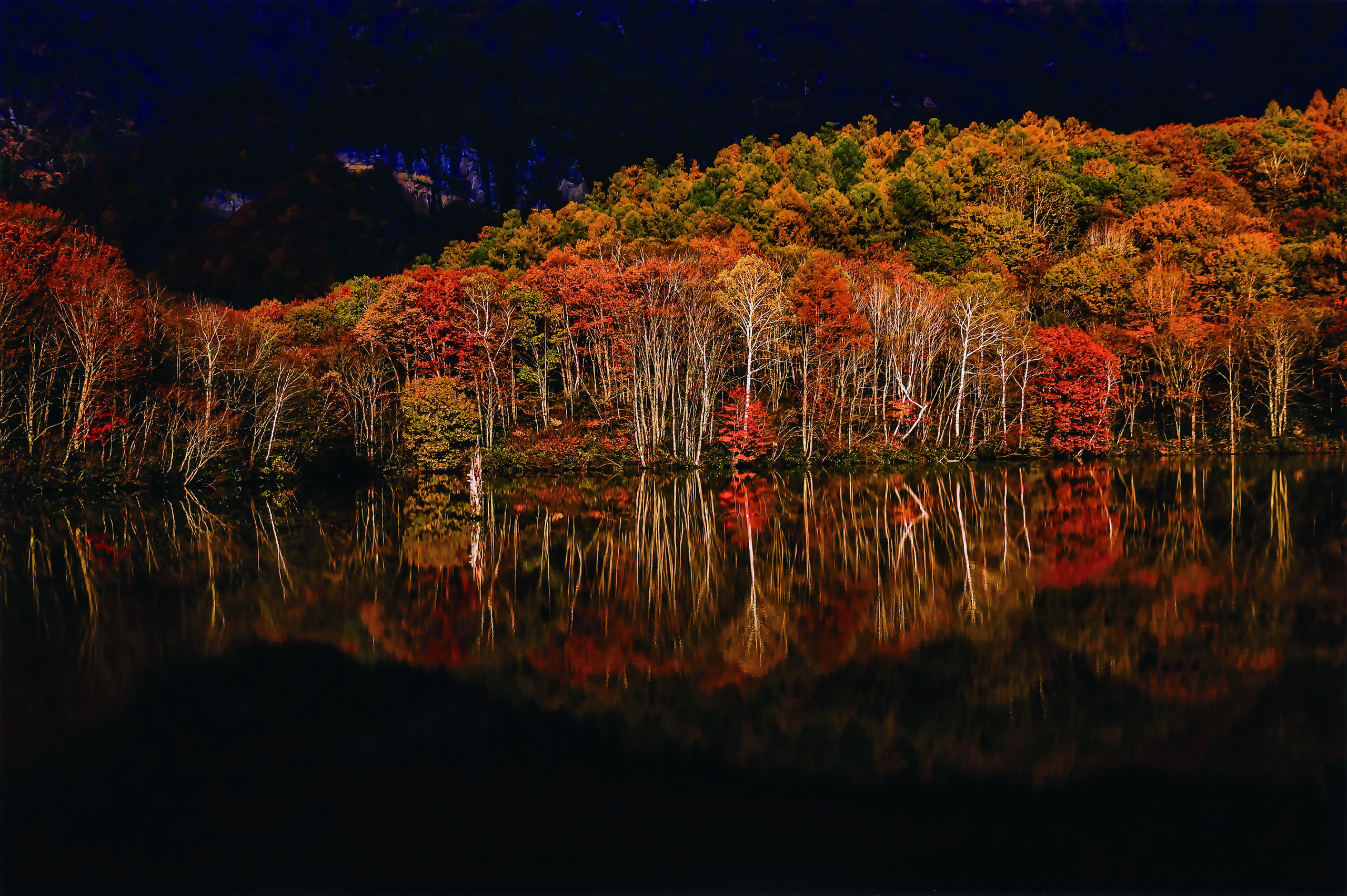 「錦繍」 2019　500.0×750.0