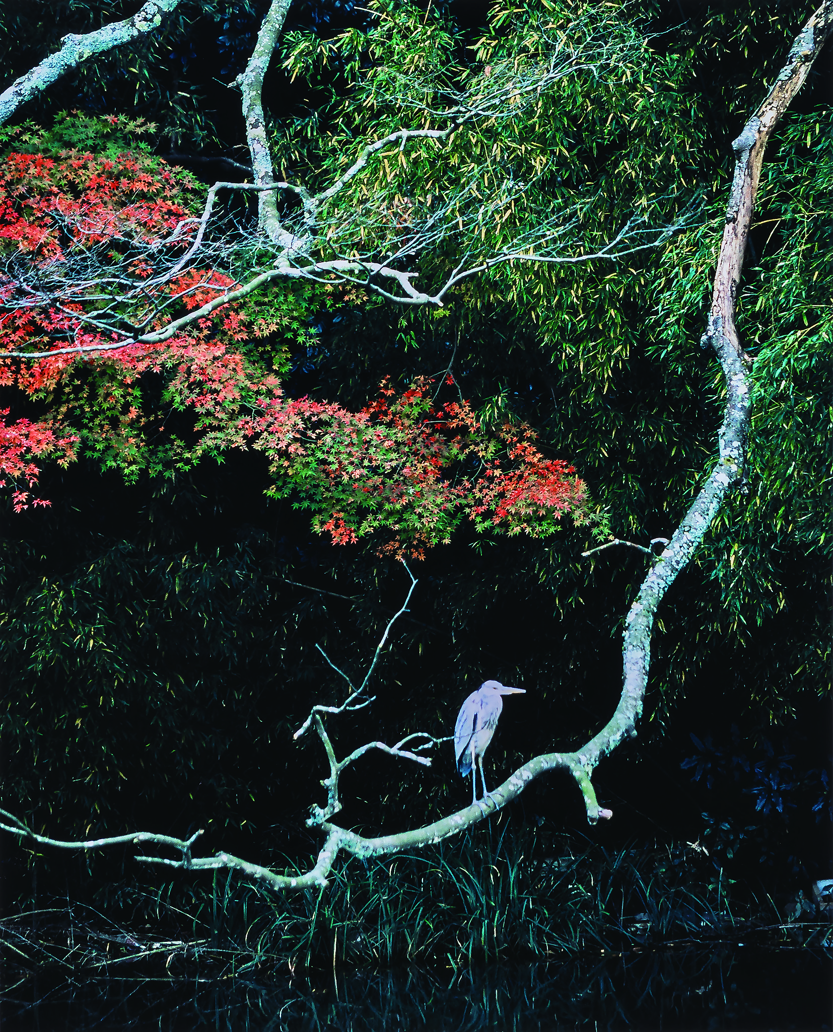 「憩う（加賀市）」 2012　56.0×46.0