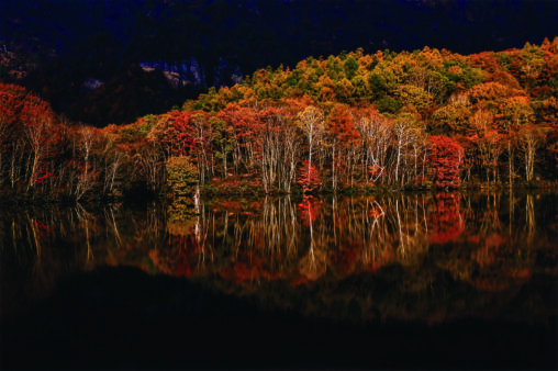 「錦繍」 2019　500.0×750.0