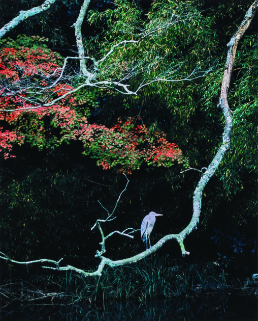 「憩う（加賀市）」 2012　56.0×46.0