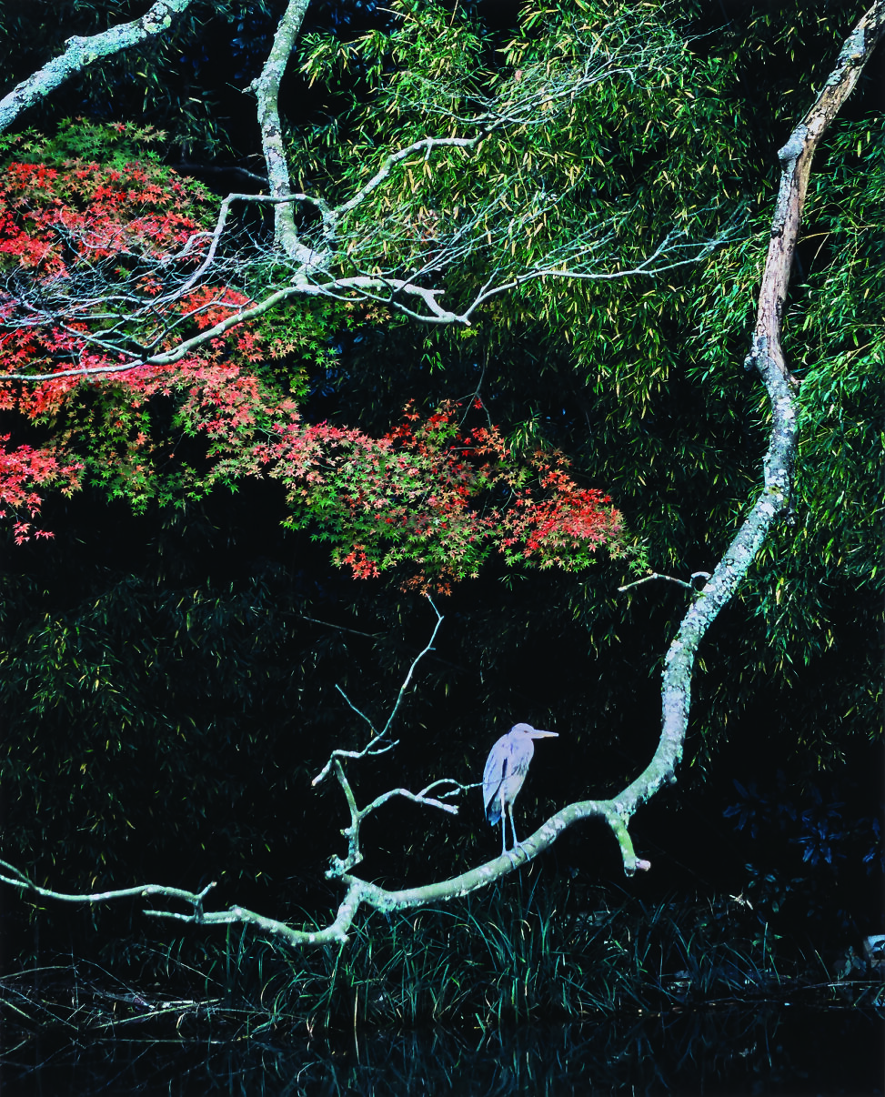 「憩う（加賀市）」 2012　56.0×46.0