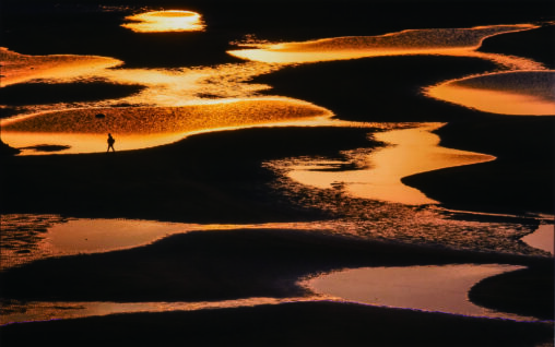 「光響」 2018　46.0×73.5